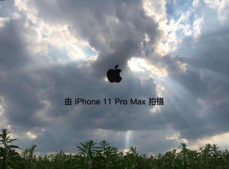 WhatsApp拍照怎么全屏：WhatsApp拍照时如何全屏显示预览